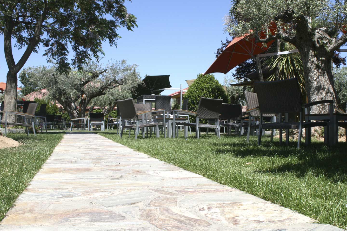Terraza Lounge - Naturaleza y gastronomia al aire libre.