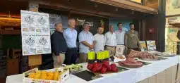 menu aragones